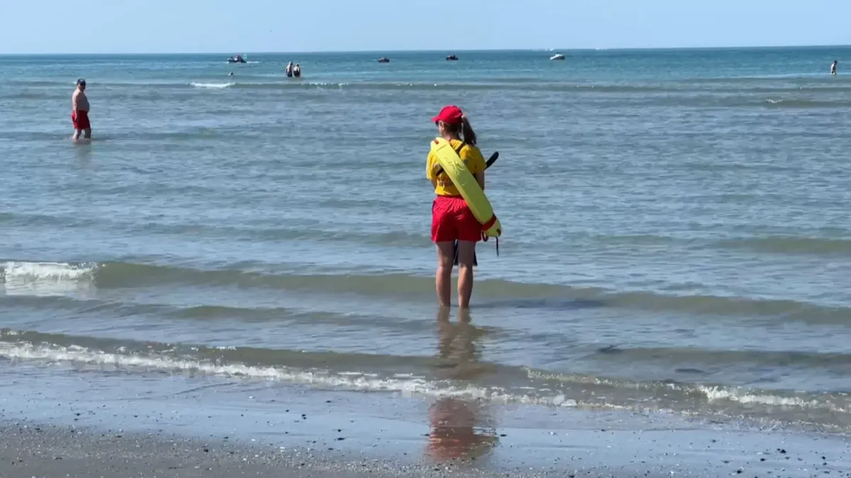 placeholder video