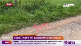 Allier: 4 morts et 4 blessés dans une fusillade