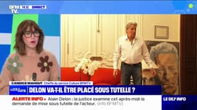Alain Delon: la justice examine la demande de mise sous tutelle de l'acteur