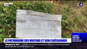 L'été chez vous: à la découverte du village des Mayons dans le Var