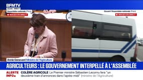 "Une brigade de contrôle interviendra sur les importations" annonce Annie Genevard devant l'Assemblée nationale