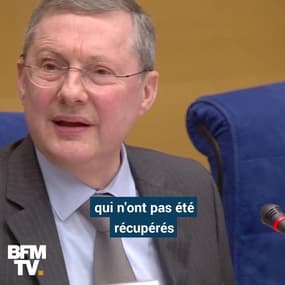 Ce que reproche la commission d'enquête du Sénat à Alexandre Benalla
