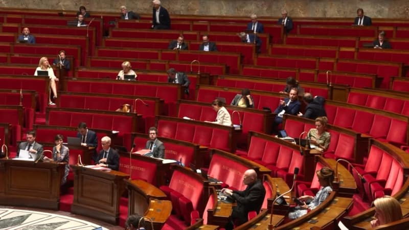 À l'Assemblée nationale, les députés ont déserté les bancs