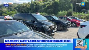 Environ 80 taxis azuréens étaient mobilisés ce lundi 