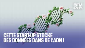  Cette start-up stocke des données dans de l'ADN !  