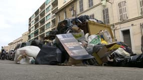 Des poubelles non ramassées à Marseille en raison de la grève des éboueurs.