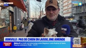 Joinville-le-Pont impose depuis un an le port de laisse aux chiens promenés en centre-ville