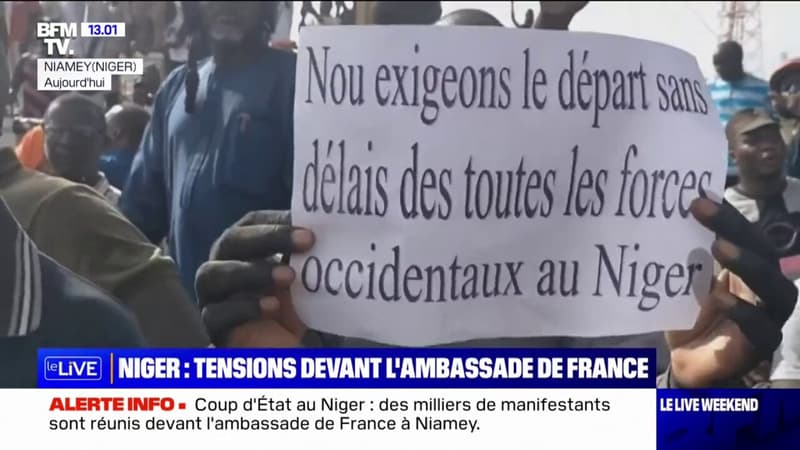 C'est un signal envoyé à toutes les instances internationales: Hélène Conway-Mouret réagit aux manifestations devant l'ambassade de France au Niger
