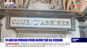 14 ans de prison pour avoir tué sa voisine