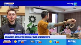 Brignoles : médiation animale avec des serpents