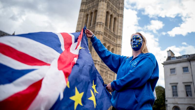 Une manifestante pro-UE devant le Parlement britannique, le 13 septembre, à Londres.