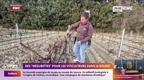Colère des agriculteurs : des "mesurettes" pour les viticulteurs dans le rouge
