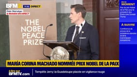 Pas de Prix Nobel de la Paix pour Donald Trump: la réponse du président du comité Nobel norvégien