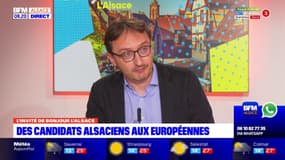 Elections européennes: une quarantaine de candidats alsaciens, qui a ses chances ?