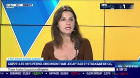 Tout pour votre argent : COP 28, les pays pétroliers misent sur le captage et stockage de CO2 - 04/12