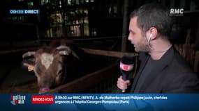 RMC Tous à la ferme 
