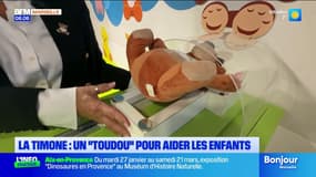 " Toudou " : un hôpital à doudou à la Timone pour aider les enfants