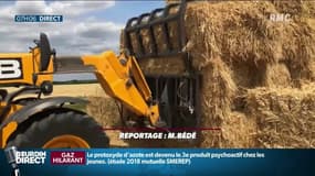 Sécheresse: des céréaliers viennent en aide aux éleveurs