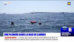 Une plongée dans la baie de Cannes