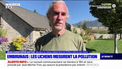 Hautes-Alpes: les lichens étudiés pour mesurer la pollution
