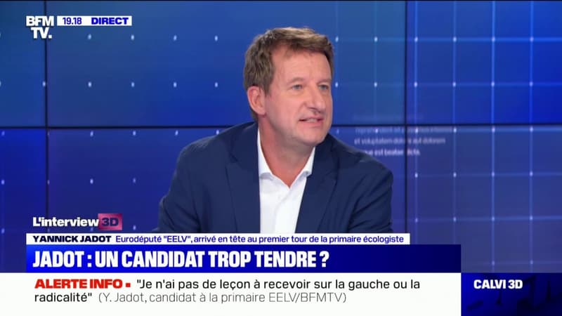 Yannick Jadot sur les violences faites aux femmes: "La France ne se donne pas les moyens d'agir"