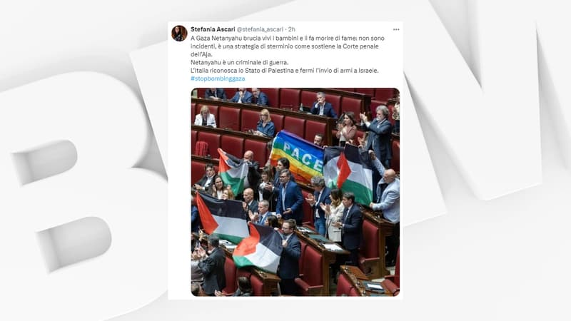 Italie: des députés brandissent des drapeaux palestiniens en séance, pas de sanction immédiate