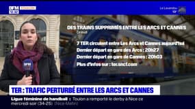 Var: la grève SNCF reconduite, le trafic des TER perturbé entre Les Arcs et Cannes