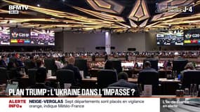 Guerre en Ukraine: un sommet organisé en urgence ce dimanche à Genève pour discuter du plan de paix proposé par Donald Trump