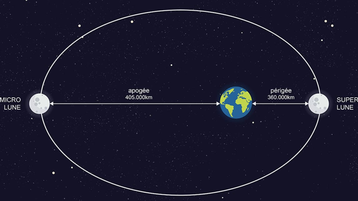 Infographie Emeline Gaube
