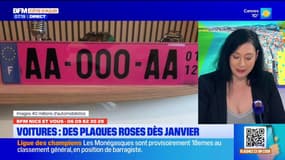 BFM Nice et Vous : pourquoi des plaques d'immatriculation roses ?