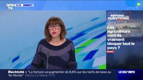 Les agriculteurs vont-ils vraiment bloquer tout le pays ? BFMTV répond à vos questions