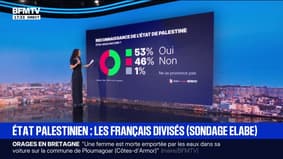 LES ÉCLAIREURS - État palestinien: les Français sont divisés