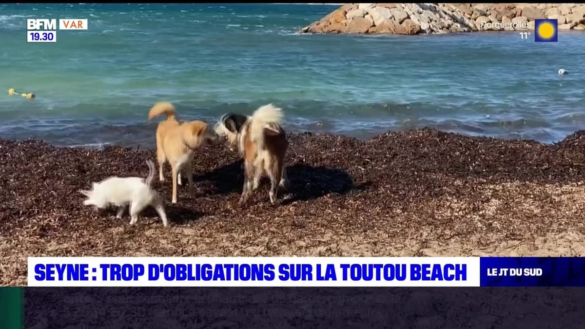 placeholder video