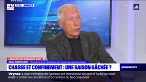 Hautes-Alpes: une diminution des populations de "cervidés et chevreuils" imputée au loup