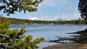 Une vue du parc de Yellowstone, le 11 mai 2016