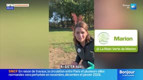 Journée internationale des célibataires ! - La météo de Colas du mardi 11 novembre 2025