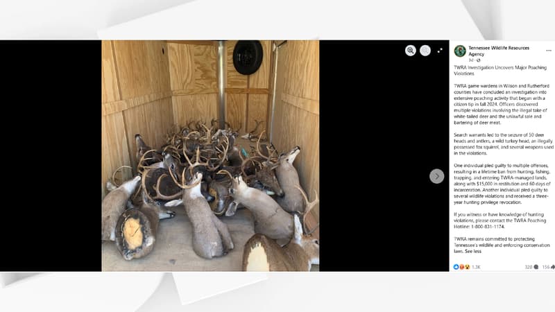 Un Américain interdit de chasse à vie après la découverte de 50 têtes de cerfs tués illégalement