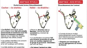 LES DIFFÉRENTS MODES D'ABATTAGE