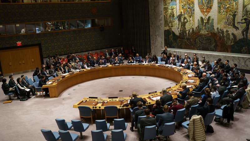 Le Conseil de sécurité de l'ONU.