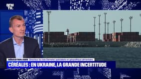 Céréales : en Ukraine, la grande incertitude - 27/07