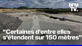 Près de 200 empreintes de dinosaures découvertes au Royaume-Uni 