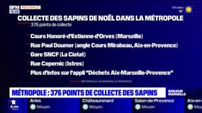 Marseille: 376 points de collecte de sapins dans la métropole