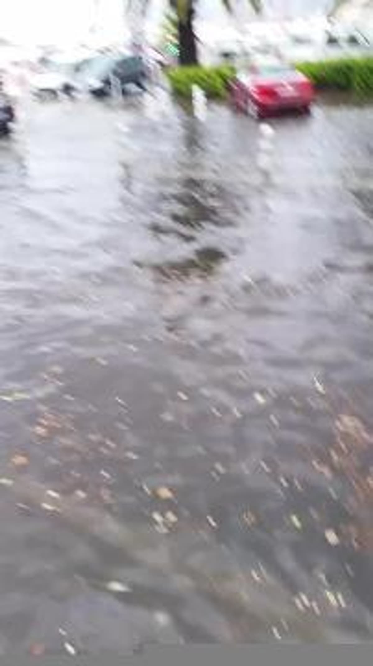 placeholder video
