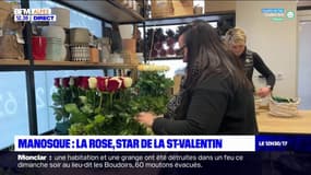 Manosque: la rose, star de la Saint-Valentin 