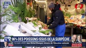 86% des poissons vendus en grande surface proviennent de pêche non durable, selon l'UFC-Que Choisir