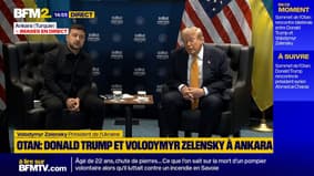 "Nous sommes très reconnaissants pour votre soutien": Volodomyr Zelensky rencontre Donald Trump au sommet de l'Otan