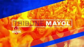 Tribune Mayol: l'émission du 18 avril avec Thierry Louvet et Aubin Hueber