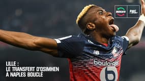 Lille : Le transfert d'Osimhen à Naples bouclé 