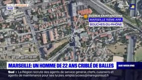Marseille: un homme de 22 ans criblé de balles