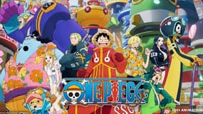 La série animée "One Piece", adaptée par Toei ANimation du manga de Eiichirō Oda.